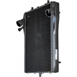 Mahle Ψυγείο, Ψύξη Κινητήρα - Cr 1397 000P