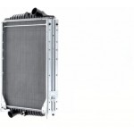 Mahle Ψυγείο, Ψύξη Κινητήρα - Cr 1225 000P