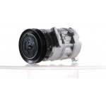 Mahle Συμπιεστής, συστ. Κλιματισμού - Acp 1481 000S