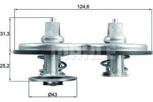 Mahle Θερμοστάτης, Ψυκτικό Υγρό - Tx 141 83
