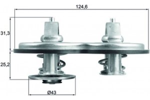 Mahle Θερμοστάτης, Ψυκτικό Υγρό - Tx 141 83