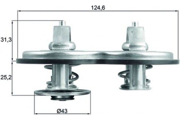 Mahle Θερμοστάτης, Ψυκτικό Υγρό - Tx 141 83