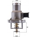 Mahle Θερμοστάτης, Ψυκτικό Υγρό - Tm 55 105