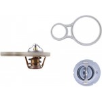 Mahle Θερμοστάτης, Ψυκτικό Υγρό - Tx 255 91