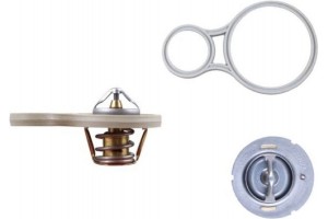 Mahle Θερμοστάτης, Ψυκτικό Υγρό - Tx 255 91