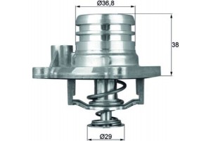 Mahle Θερμοστάτης, Ψυκτικό Υγρό - Ti 13 92