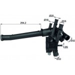 Mahle Θερμοστάτης, Ψυκτικό Υγρό - Ti 19 109