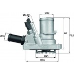 Mahle Θερμοστάτης, Ψυκτικό Υγρό - Ti 144 88