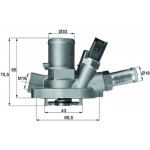 Mahle Θερμοστάτης, Ψυκτικό Υγρό - Ti 147 80