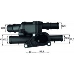 Mahle Θερμοστάτης, Ψυκτικό Υγρό - Tm 2 105
