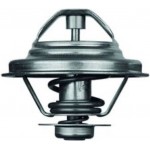 Mahle Θερμοστάτης, Ψυκτικό Υγρό - Tx 24 87D