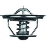 Mahle Θερμοστάτης, Ψυκτικό Υγρό - Tx 35 71