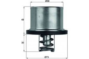 Mahle Θερμοστάτης, Ψυκτικό Υγρό - Tx 37 79