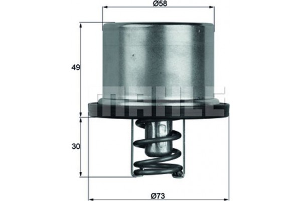 Mahle Θερμοστάτης, Ψυκτικό Υγρό - Tx 37 79