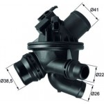 Mahle Θερμοστάτης, Ψυκτικό Υγρό - Tm 21 97