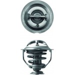 Mahle Θερμοστάτης, Ψυκτικό Υγρό - Tx 117 95D