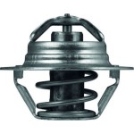 Mahle Θερμοστάτης, Ψυκτικό Υγρό - Tx 100 89D