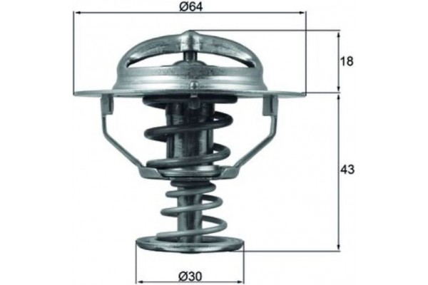 Mahle Θερμοστάτης, Ψυκτικό Υγρό - Tx 114 82D