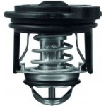 Mahle Θερμοστάτης, Ψυκτικό Υγρό - Ti 246 50