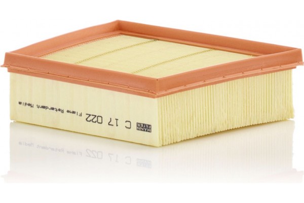 MANN-FILTER Φίλτρο Αέρα - C 17 022