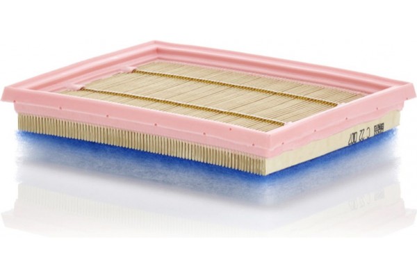 MANN-FILTER Φίλτρο Αέρα - C 22 007