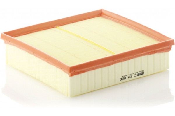 MANN-FILTER Φίλτρο Αέρα - C 22 020