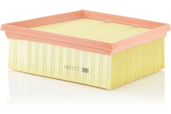 MANN-FILTER Φίλτρο Αέρα - C 22 031