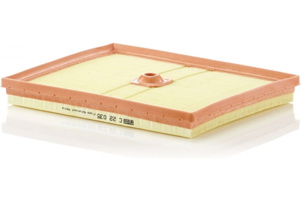 MANN-FILTER Φίλτρο Αέρα - C 22 035