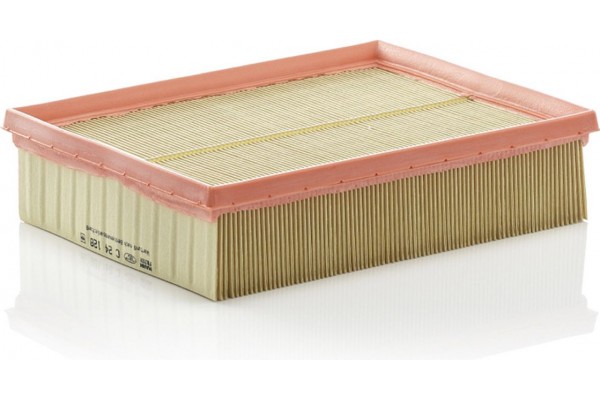 MANN-FILTER Φίλτρο Αέρα - C 24 128