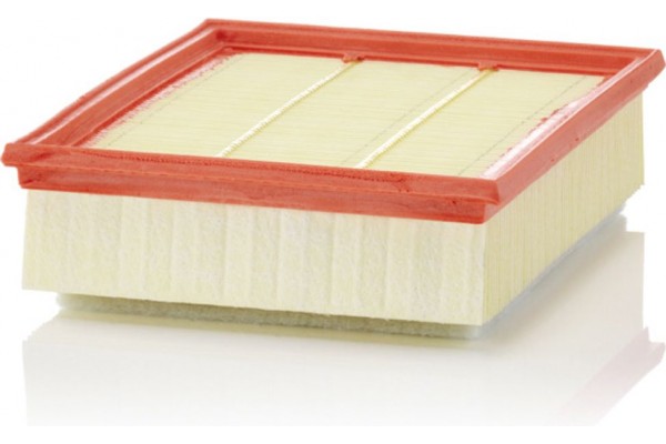 MANN-FILTER Φίλτρο Αέρα - C 25 018