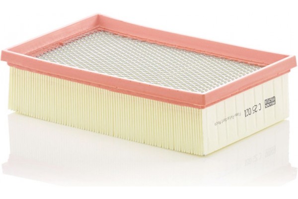 MANN-FILTER Φίλτρο Αέρα - C 25 021