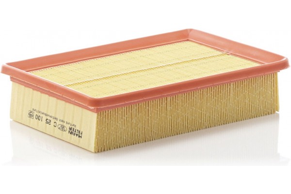 MANN-FILTER Φίλτρο Αέρα - C 25 100