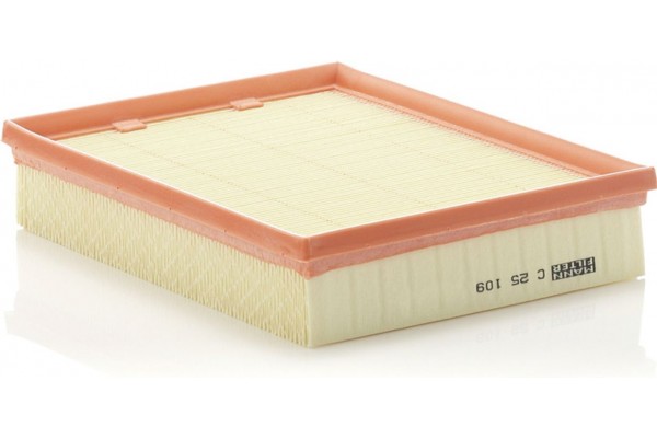 MANN-FILTER Φίλτρο Αέρα - C 25 109