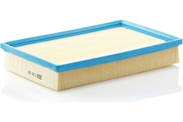 MANN-FILTER Φίλτρο Αέρα - C 30 125