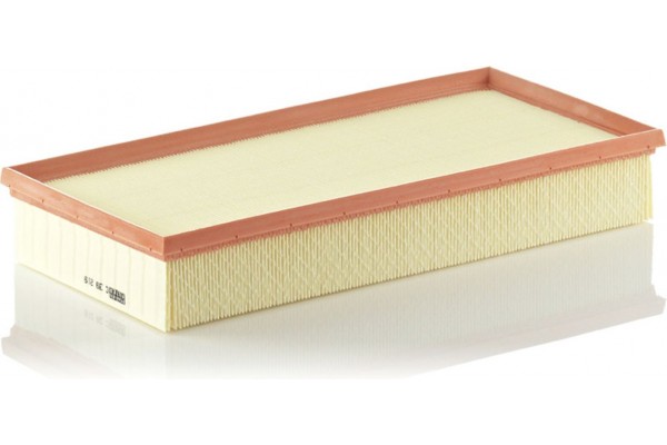 MANN-FILTER Φίλτρο Αέρα - C 39 219