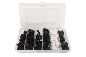 Κουμπώματα Ταπετσαρίας Αυτοκινήτου 100 Τεμάχια (6 Διαφορετικά Σχέδια)