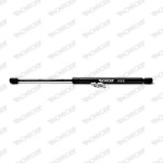 Monroe Αμορτ. αερίου, Χώρος αποσκ./φόρτωσης - ML6051