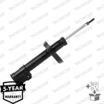 Monroe Αμορτισέρ - G16770