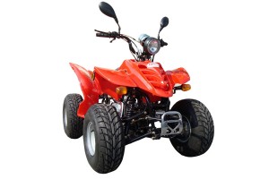 Americat Γουρούνα Atv Sports 110