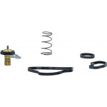 Motorad Θερμοστάτης, Ψυκτικό Υγρό - 1105-88K