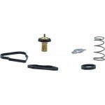 Motorad Θερμοστάτης, Ψυκτικό Υγρό - 1105-88K