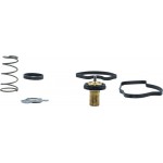 Motorad Θερμοστάτης, Ψυκτικό Υγρό - 1105-88K