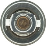 Motorad Θερμοστάτης, Ψυκτικό Υγρό - 202-92K