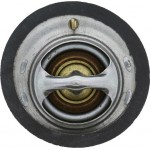 Motorad Θερμοστάτης, Ψυκτικό Υγρό - 337-88K