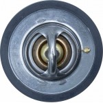 Motorad Θερμοστάτης, Ψυκτικό Υγρό - 363-91K