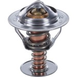 Motorad Θερμοστάτης, Ψυκτικό Υγρό - 412-79K