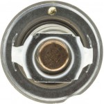 Motorad Θερμοστάτης, Ψυκτικό Υγρό - 419-82