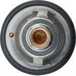 Motorad Θερμοστάτης, Ψυκτικό Υγρό - 528-82K