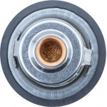 Motorad Θερμοστάτης, Ψυκτικό Υγρό - 530-82K