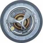 Motorad Θερμοστάτης, Ψυκτικό Υγρό - 530-82K